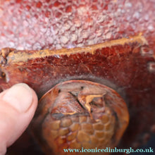 Load image into Gallery viewer, Vintage 1940s Armadillo Handbag. Purchased in Los Angeles in the 1990s

