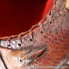 Load image into Gallery viewer, Vintage 1940s Armadillo Handbag. Purchased in Los Angeles in the 1990s
