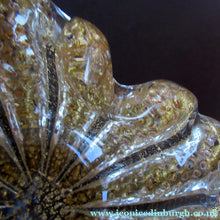 Load image into Gallery viewer, Large 1950s Barovier &amp; Toso MURANO 'Cordonato d'Oro' gold leaf glass bowl
