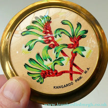 Load image into Gallery viewer, MASCOT Brand. Vintage 1950s POWDER COMPACT with Kangaroo Paw Flower (Australia
