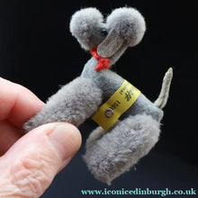 Load image into Gallery viewer, 1950s Miniature Steiff Grey Poodle. Original Steiff Label &amp; Button. 7 cm - Vintage Teddy Bear
