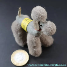 Load image into Gallery viewer, 1950s Miniature Steiff Grey Poodle. Original Steiff Label &amp; Button. 7 cm - Vintage Teddy Bear

