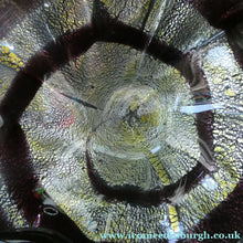 Load image into Gallery viewer, Vintage 1950s BAROVIER AND TOSO Murano Glass Bowl 
