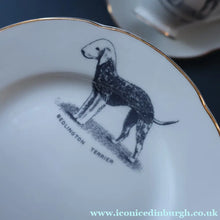 Load image into Gallery viewer, 1950s Vintage Royal Grafton TRIO with BEDLINGTON TERRIER Decoration (Cup, Saucer and Side Plate). FOUR AVAILABLE
