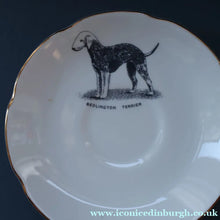 Load image into Gallery viewer, 1950s Vintage Royal Grafton TRIO with BEDLINGTON TERRIER Decoration (Cup, Saucer and Side Plate). FOUR AVAILABLE
