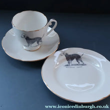 Load image into Gallery viewer, 1950s Vintage Royal Grafton TRIO with BEDLINGTON TERRIER Decoration (Cup, Saucer and Side Plate). FOUR AVAILABLE
