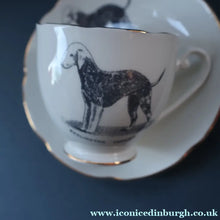 Load image into Gallery viewer, 1950s Vintage Royal Grafton TRIO with BEDLINGTON TERRIER Decoration (Cup, Saucer and Side Plate). FOUR AVAILABLE
