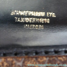 Load image into Gallery viewer, Vintage Designer Handbag by Zimmermann Nairobi. 1950s Snakeskin 
