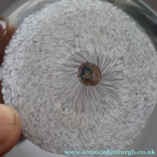 Load image into Gallery viewer, Vintage 1950s Vasart Paperweight Inside the Base of a Chunky Pin Dish or Small  Bowl
