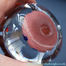 Load image into Gallery viewer, Early 1950s VASART GLASS Paperweight. Pink Ground with Ten Half Spokes and Millefiori Canes
