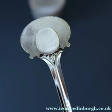 Load image into Gallery viewer, 1950s Vintage Royal Grafton JAM POT &amp; SPOON with BEDLINGTON TERRIER Decoration
