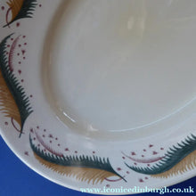 Load image into Gallery viewer, 1950s Vintage Susie Cooper Pottery BRACKEN PATTERN Oval Ashet / Serving Plate. KESTREL shape. 14 inches
