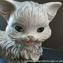 Load image into Gallery viewer, Edeard Mobley White Cat 1960 with Squeaky Noise
