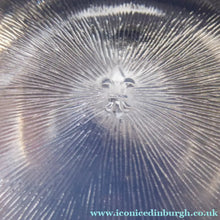 Load image into Gallery viewer, 1960s Sklo Glass Vase by Frantisek Vizner Rudolfova Hut
