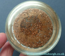 Load image into Gallery viewer, Vintage Millefiori Close Pack Carpet Paperweight; Possibly made by Fratelli TOSO
