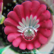 Load image into Gallery viewer, Vintage Murarno Fratelli Toso Paperweight with Print Flowers
