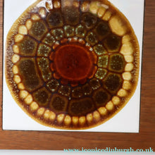 Load image into Gallery viewer, 1960s Vintage WYNCRAFT Cheese or Chopping Board with Two Pilkington Abstract Tiles. Designed by Alan Wallwork (1931 - 2019)
