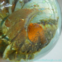 Load image into Gallery viewer, BRITISH ART GLASS. Vintage 1970s Isle of Wight Paperweight. Flame Mark Ponti
