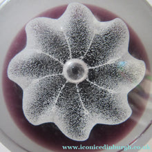 Load image into Gallery viewer, Caithness Paperweight by Colin Terris 1979 Ice Blossom
