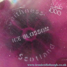 Load image into Gallery viewer, Caithness Paperweight by Colin Terris 1979 Ice Blossom
