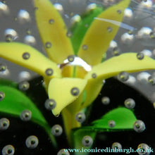 Load image into Gallery viewer, 1970s Caithness Glass Paperweight Entitled Flower in the Rain YELLOW Flower
