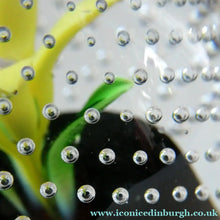 Load image into Gallery viewer, 1970s Caithness Glass Paperweight Entitled Flower in the Rain YELLOW Flower
