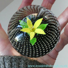 Load image into Gallery viewer, 1970s Caithness Glass Paperweight Entitled Flower in the Rain YELLOW Flower
