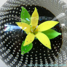 Load image into Gallery viewer, 1970s Caithness Glass Paperweight Entitled Flower in the Rain YELLOW Flower
