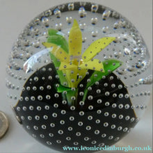 Load image into Gallery viewer, 1970s Caithness Glass Paperweight Entitled Flower in the Rain YELLOW Flower
