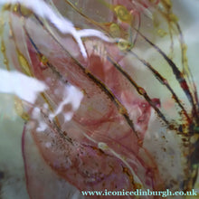 Load image into Gallery viewer, Vintage 1970s ISLE OF WIGHT Glass Lollipop Vase with Flame Pontil Mark
