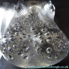 Load image into Gallery viewer, 1970s KOSTA BODA Glass Hippopotamus. Larger Size; Designed by Bertil Vallien. 8 1/2 inches wide
