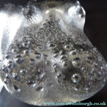 Load image into Gallery viewer, 1970s KOSTA BODA Glass Hippopotamus. Larger Size; Designed by Bertil Vallien. 8 1/2 inches wide
