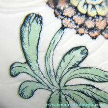 Load image into Gallery viewer, Vintage Italian Mazzega MURANO Paperweight with Applied Chrysanthemumm Design &amp; Millefiori Border
