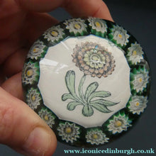 Load image into Gallery viewer, Vintage Italian Mazzega MURANO Paperweight with Applied Chrysanthemumm Design &amp; Millefiori Border
