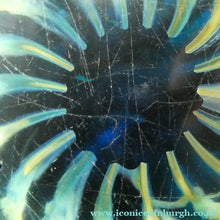 Load image into Gallery viewer, LARGE 1970s Mdina Glass Paperweight. Vintage Sea and Sand Sea Urchin
