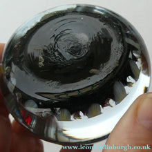 Load image into Gallery viewer, Scottish PERTHSHIRE Paperweight. Black Ground. 12 Half Spokes &amp; Millefiori Canes

