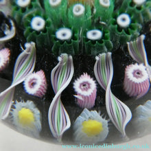 Load image into Gallery viewer, Scottish PERTHSHIRE Paperweight. Black Ground. 12 Half Spokes &amp; Millefiori Canes
