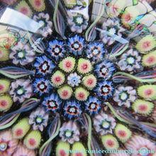 Load image into Gallery viewer, 1970s Early Perthshire Paperweight Scottish Glass Millefiori and Latticino Spokes
