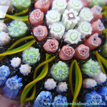 Load image into Gallery viewer, Vintage Scottish Perthshire Paperweight 10 Spoles Millefiori
