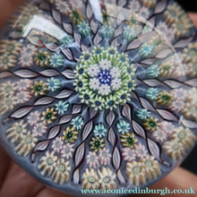 Load image into Gallery viewer, 1970s Perthshire Glass Paperweight. Pale Blue Ground Fourteen Spokes &amp; Millefiori Canes. Label to Base - Paperweight
