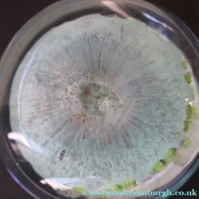 Load image into Gallery viewer, Vintage 1970s Scottish PERTHSHIRE Paperweight. Pale Ice Blue Ground. 11 Half Spokes &amp; Millefiori Canes
