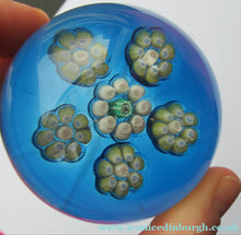 Load image into Gallery viewer, 1970s Perthshire Paperweight Kingfisher / Green Base PP10
