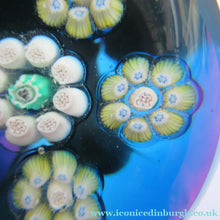 Load image into Gallery viewer, 1970s Perthshire Paperweight Kingfisher / Green Base PP10
