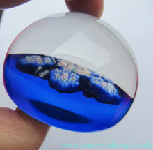 Load image into Gallery viewer, 1970s Perthshire Paperweight Millefiori Star Shaped Clusters Blue Ground P
