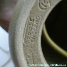 Load image into Gallery viewer, RARE Vintage 1960s POOLE POTTERY Lamp. ATLANTIS Design by Carol Kellett
