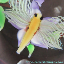 Load image into Gallery viewer, Vintage Allan Scott J Glass Jay Glass Lampwork Scottish Paperweight with Dragonfly
