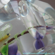 Load image into Gallery viewer, Vintage Allan Scott J Glass Jay Glass Lampwork Scottish Paperweight with Dragonfly
