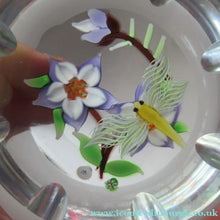 Load image into Gallery viewer, Vintage Allan Scott J Glass Jay Glass Lampwork Scottish Paperweight with Dragonfly
