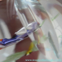 Load image into Gallery viewer, Vintage Allan Scott J Glass Jay Glass Lampwork Scottish Paperweight with Dragonfly
