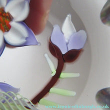 Load image into Gallery viewer, Vintage Allan Scott J Glass Jay Glass Lampwork Scottish Paperweight with Dragonfly
